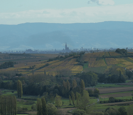 Strasbourg vue de Westhyoffen