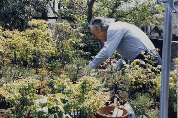 Esaka Sensei dans son jardin
