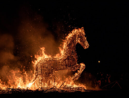 Nouvelle année du cheval de feu par Georges Charles