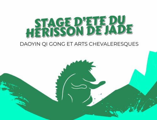 STAGE D&rsquo;ETE DU HERISSON DE JADE